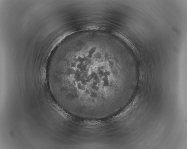 X0000113371023200909291046