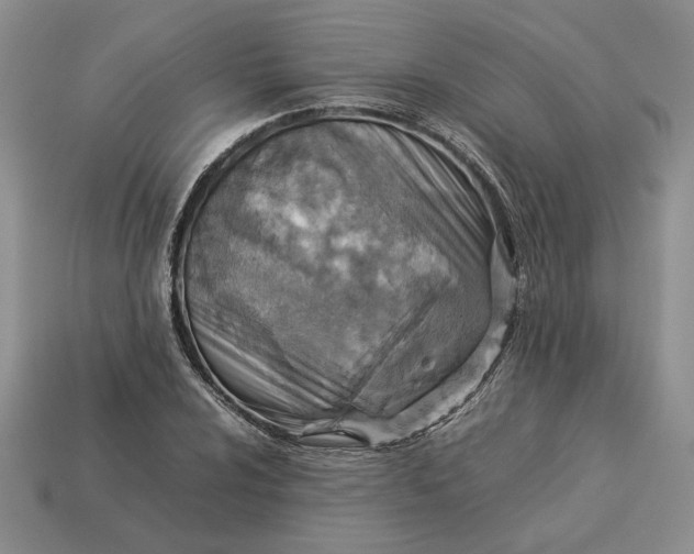 X0000113371024200909291046