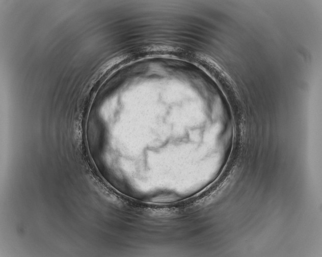 X0000113371025200909291046