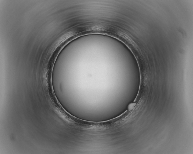 X0000113371026200909291046