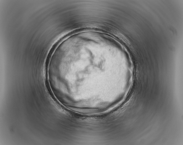 X0000113371028200909291046