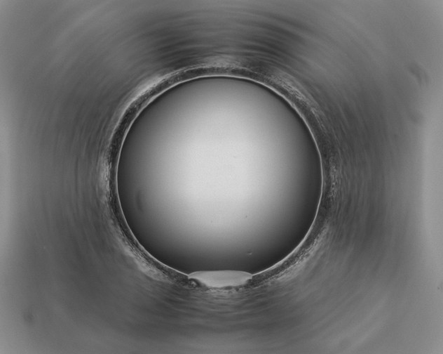 X0000113371029200909291046