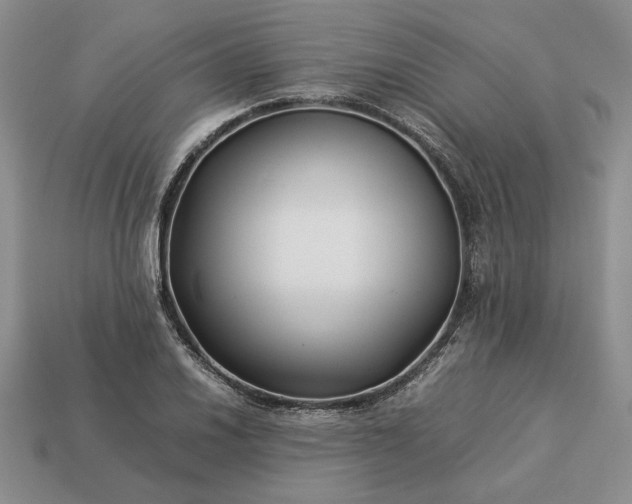 X0000113371030200909291046