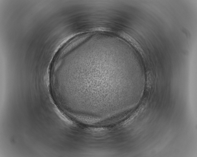 X0000113371031200909291046