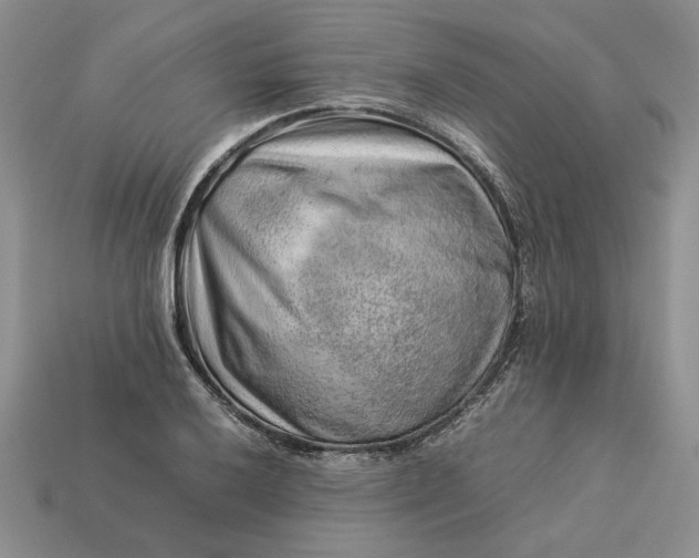 X0000113371032200909291046