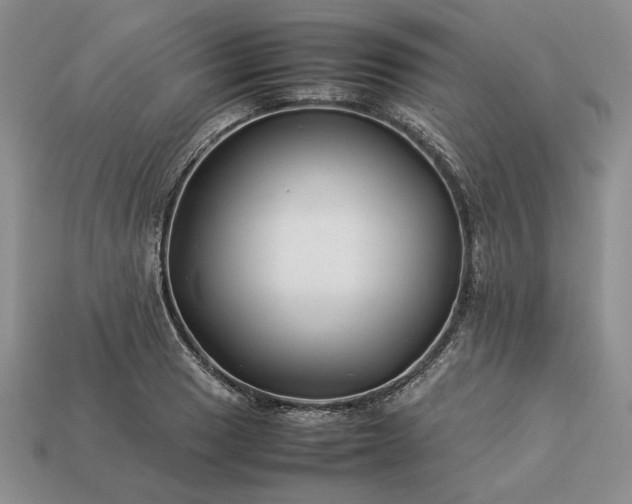 X0000113371033200909291046