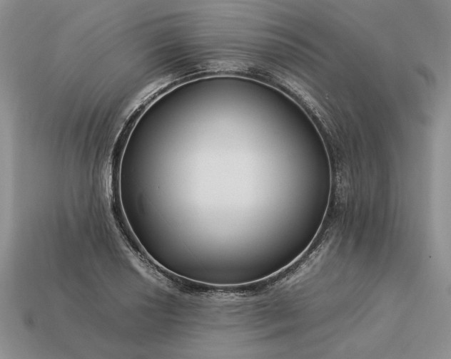 X0000113371034200909291046