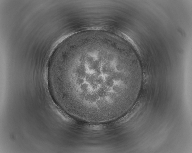 X0000113371035200909291046