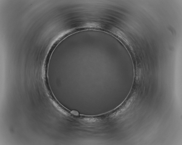 X0000113371037200909291047