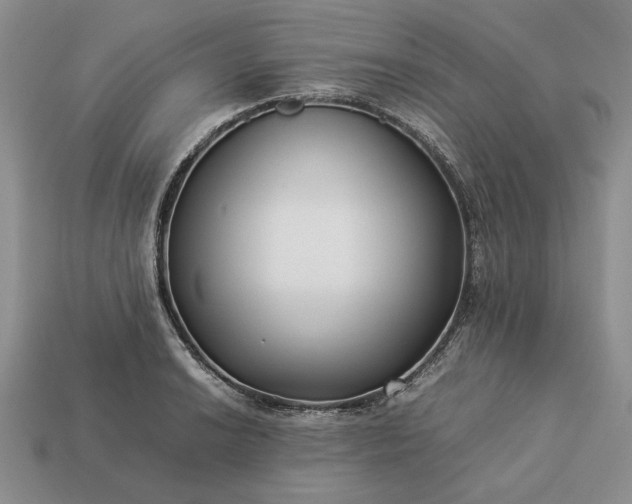 X0000113371038200909291047