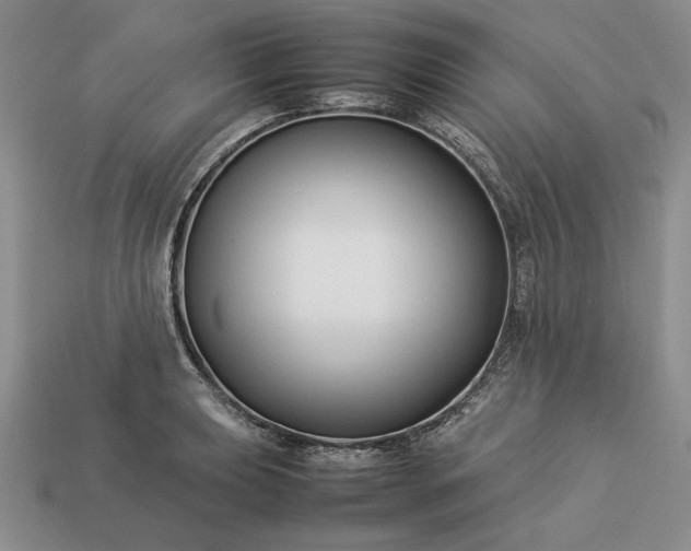 X0000113371039200909291047