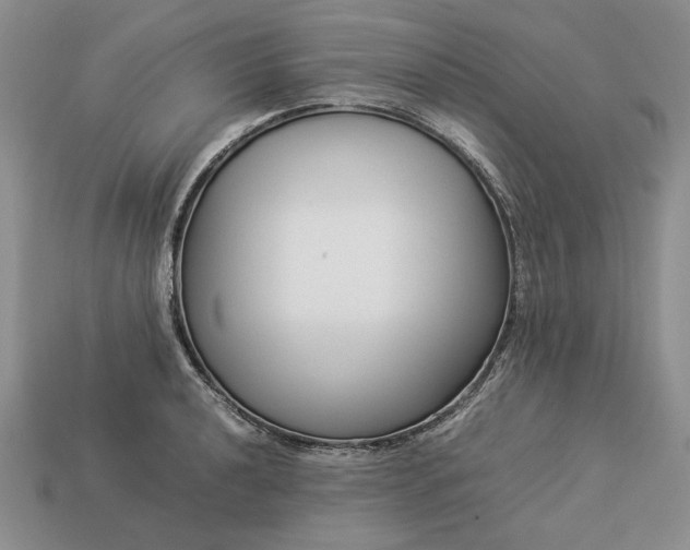 X0000113371040200909291047