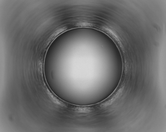 X0000113371041200909291047