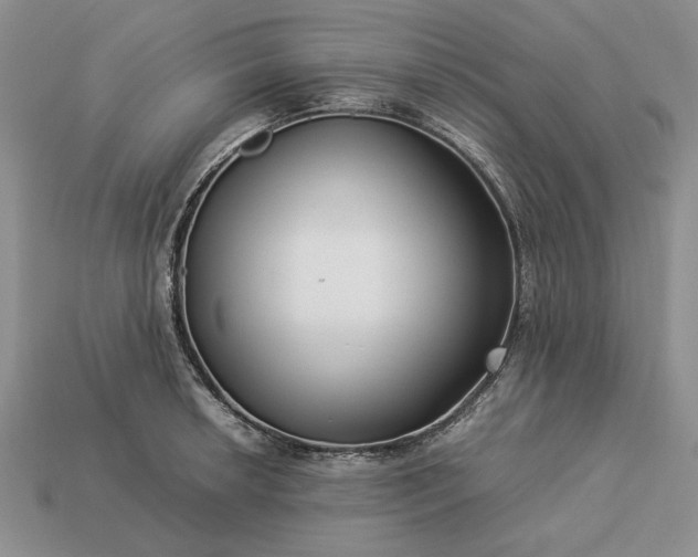 X0000113371042200909291047