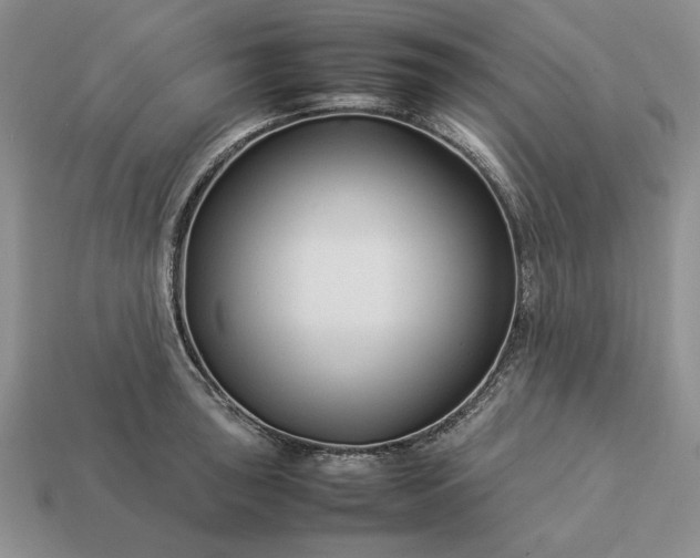 X0000113371043200909291047