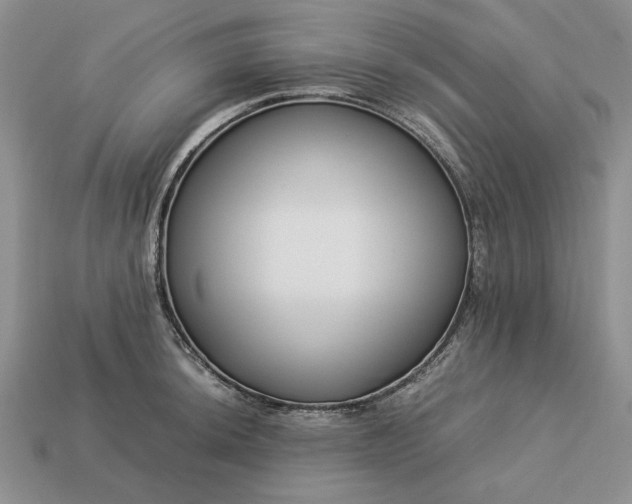 X0000113371044200909291047