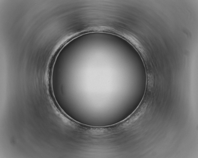 X0000113371046200909291047