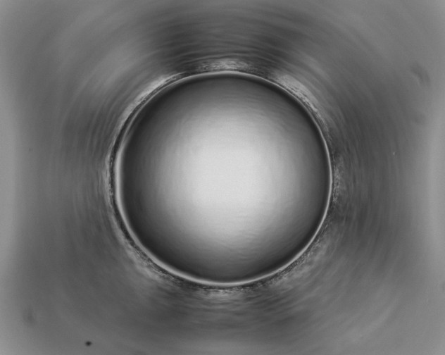 X0000113371047200909291047