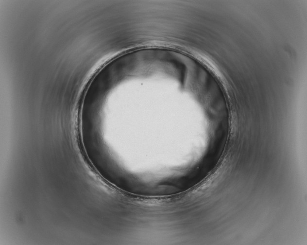 X0000113371048200909291047