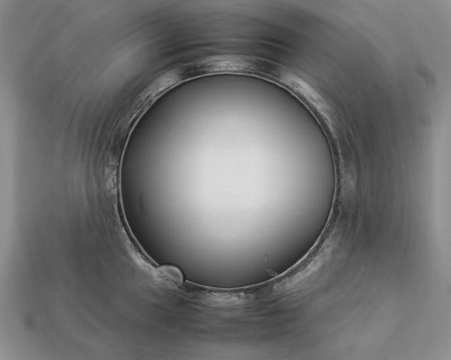 X0000113371049200909291047