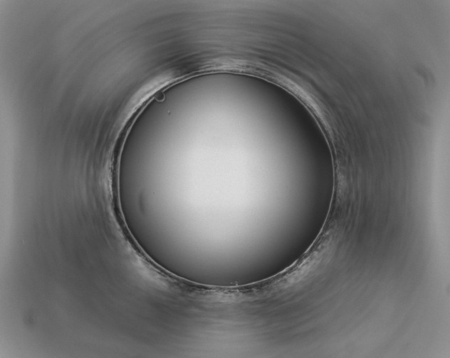 X0000113371050200909291047