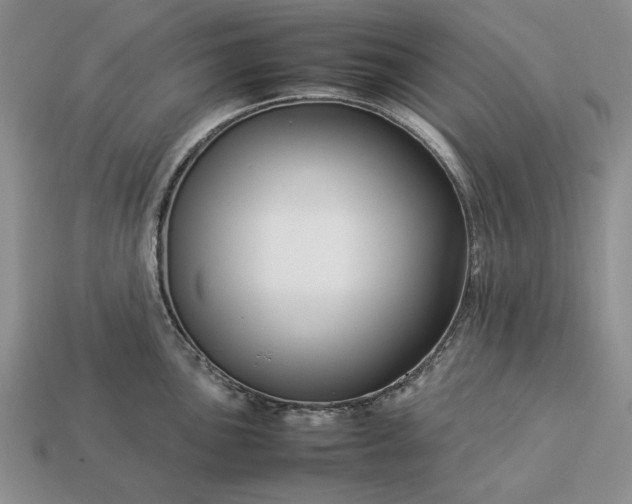 X0000113371051200909291047