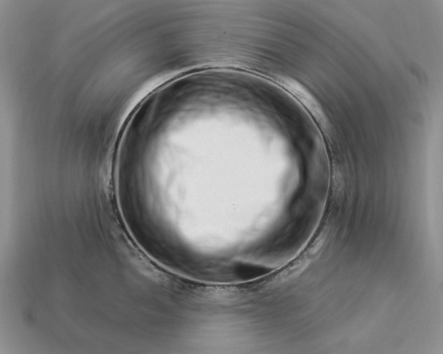 X0000113371052200909291047