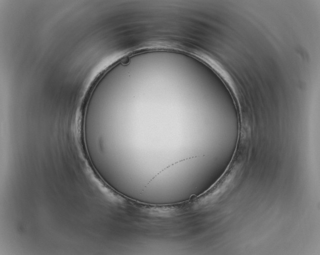 X0000113371053200909291047