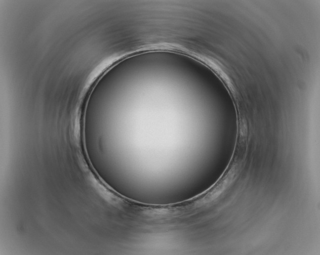 X0000113371054200909291047