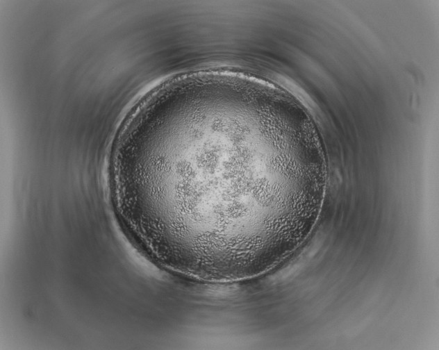 X0000113371055200909291047