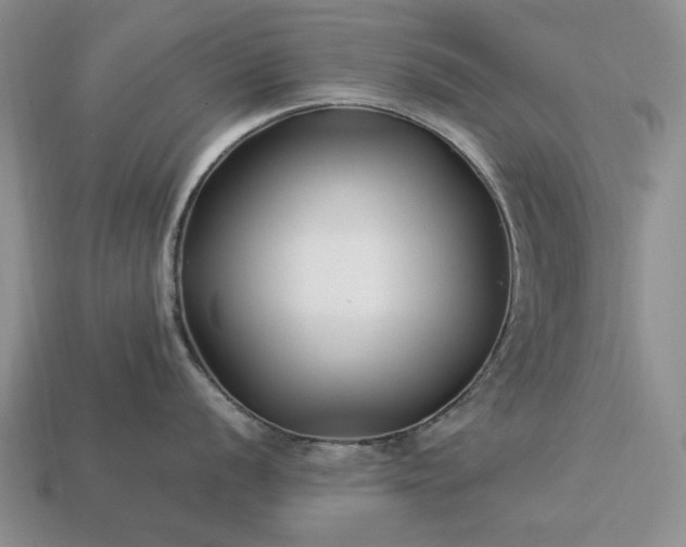 X0000113371056200909291047