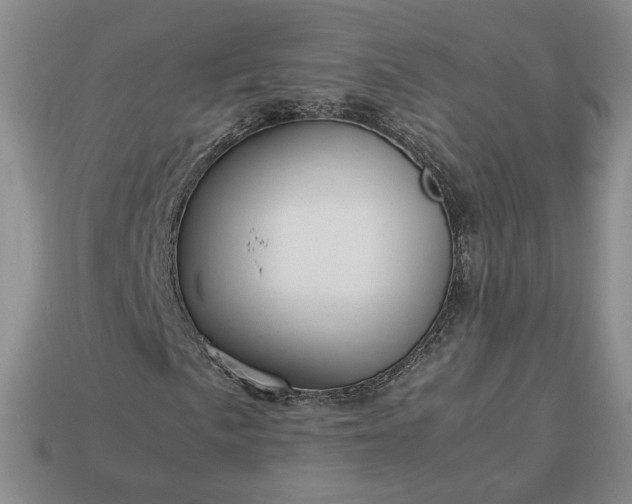 X0000113371057200909291046