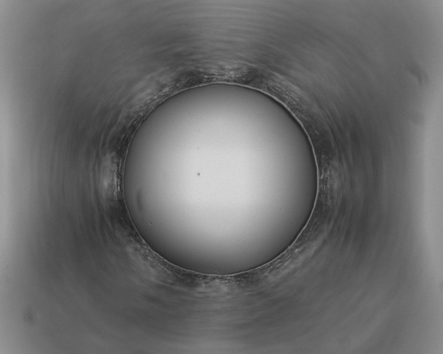 X0000113371058200909291046