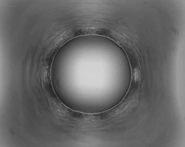 X0000113371059200909291046