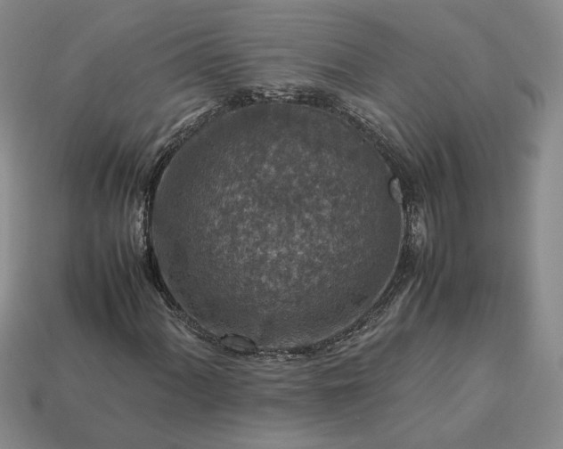 X0000113371060200909291046