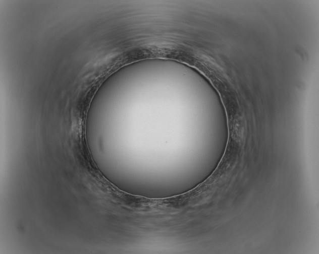 X0000113371061200909291046