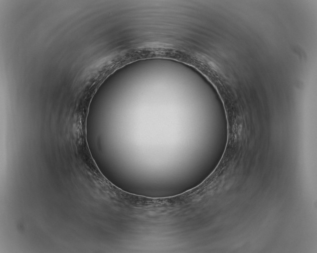 X0000113371062200909291046