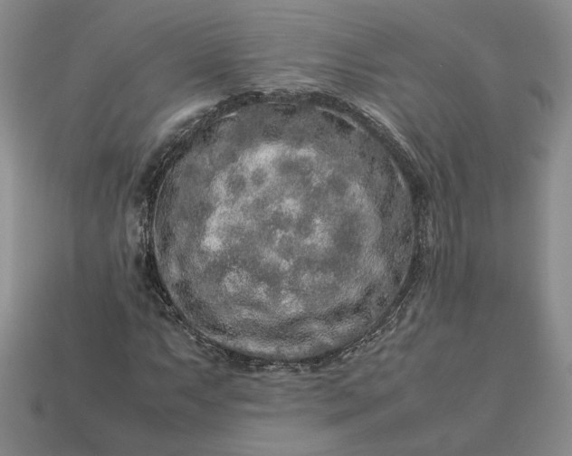 X0000113371063200909291046