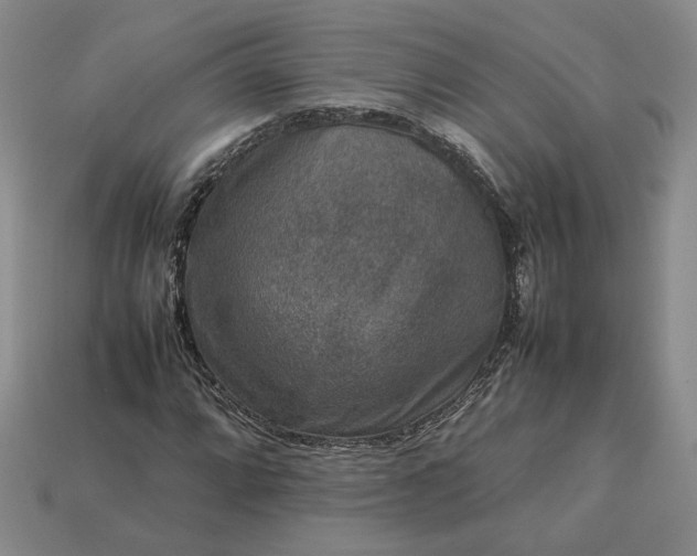 X0000113371064200909291046