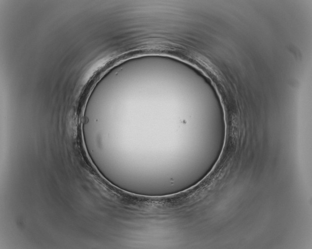 X0000113371067200909291046