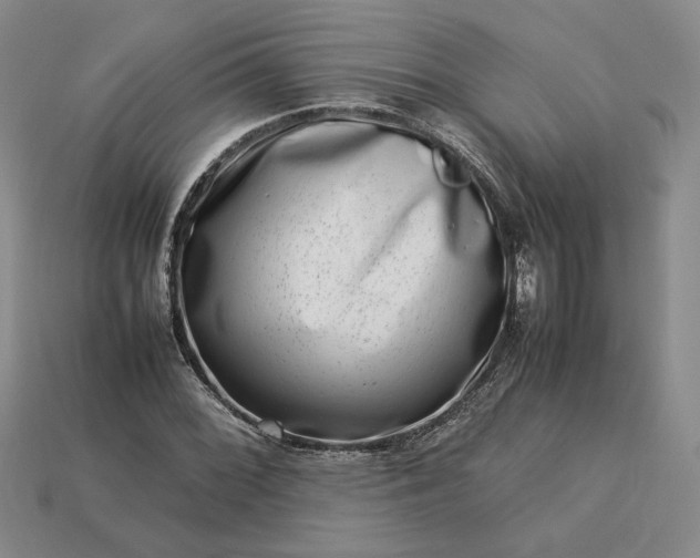 X0000113371068200909291046