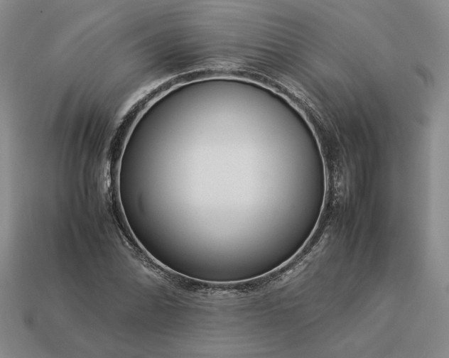 X0000113371070200909291046