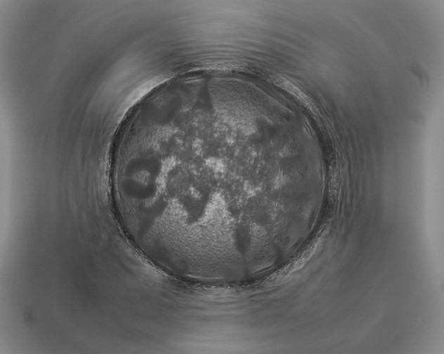 X0000113371071200909291046