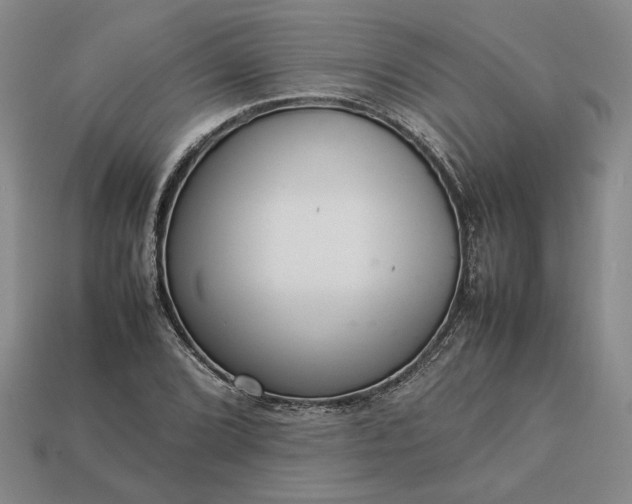 X0000113371072200909291046