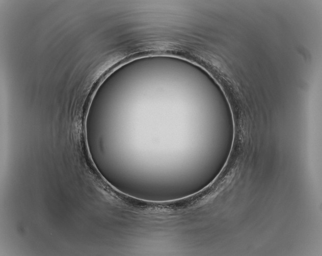 X0000113371073200909291046