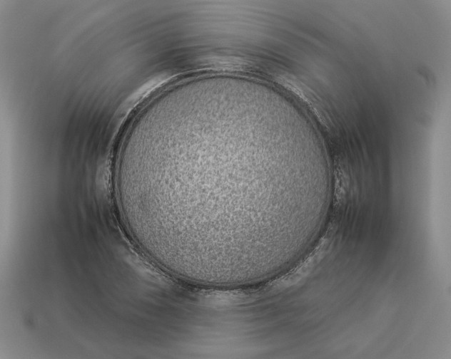 X0000113371074200909291046