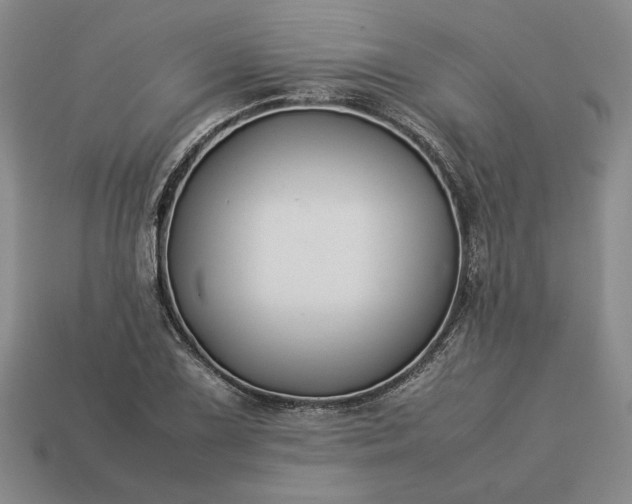 X0000113371075200909291046