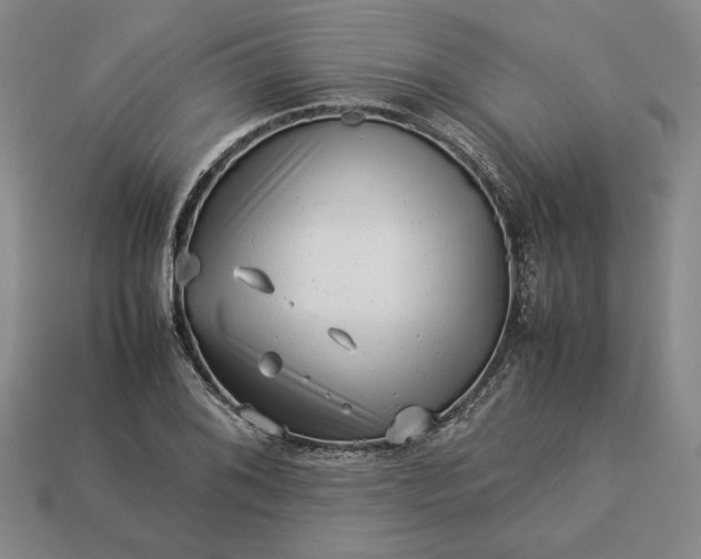 X0000113371076200909291046