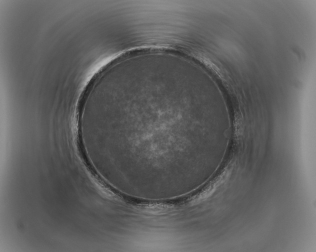 X0000113371077200909291046