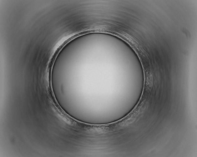 X0000113371078200909291046